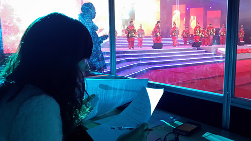 Simultaneous interpretation for Bosch annual dinner